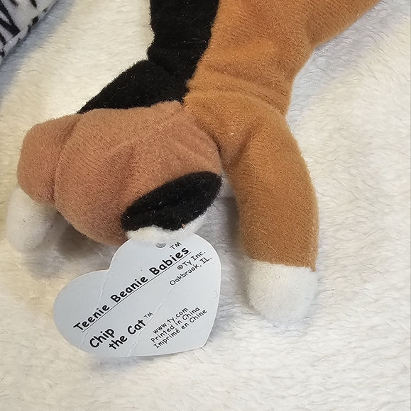 Kitty Cat Plush Bundle - Picture 4 of 13